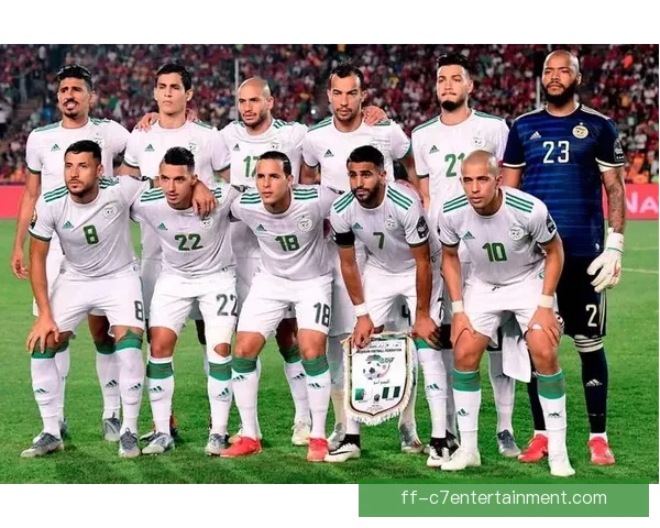 2025非洲杯预选赛全面启动各支球队全力备战